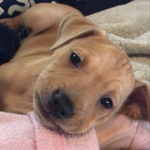 Meet your Posher, Milena